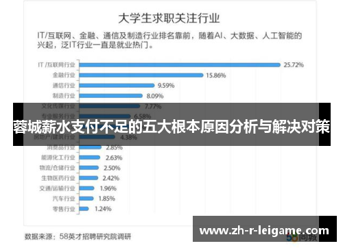 蓉城薪水支付不足的五大根本原因分析与解决对策 蓉城薪水支付不足的五大根本原因分析与解决对策